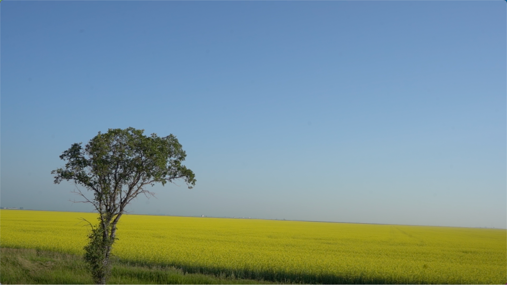 Cross-Canada Art Seeking Journey